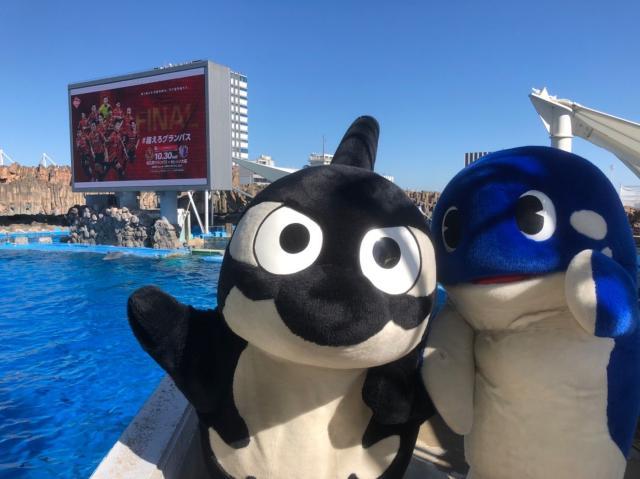 1635770524214078303.jpeg 44.jpeg